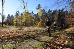 2022_Herbstewaldlauf2022-11-13_12_28_33_0_pv