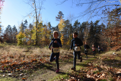 2022_Herbstewaldlauf2022-11-13_12_28_34_0_pv