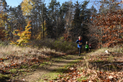 2022_Herbstewaldlauf2022-11-13_12_28_39_0_pv