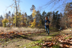 2022_Herbstewaldlauf2022-11-13_12_28_50_0_pv
