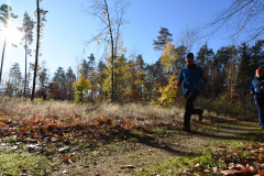 2022_Herbstewaldlauf2022-11-13_12_29_05_0_pv