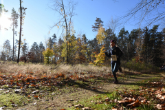 2022_Herbstewaldlauf2022-11-13_12_29_08_0_pv