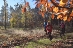2022_Herbstewaldlauf2022-11-13_12_30_56_0_pv