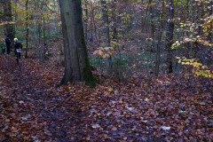 DSC04094