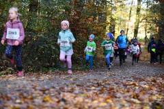 DSC_8081_pv