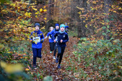 DSC_8448_pv